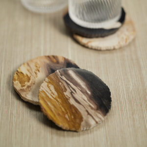 Petrified Wood Drink Coasters - Set of 4