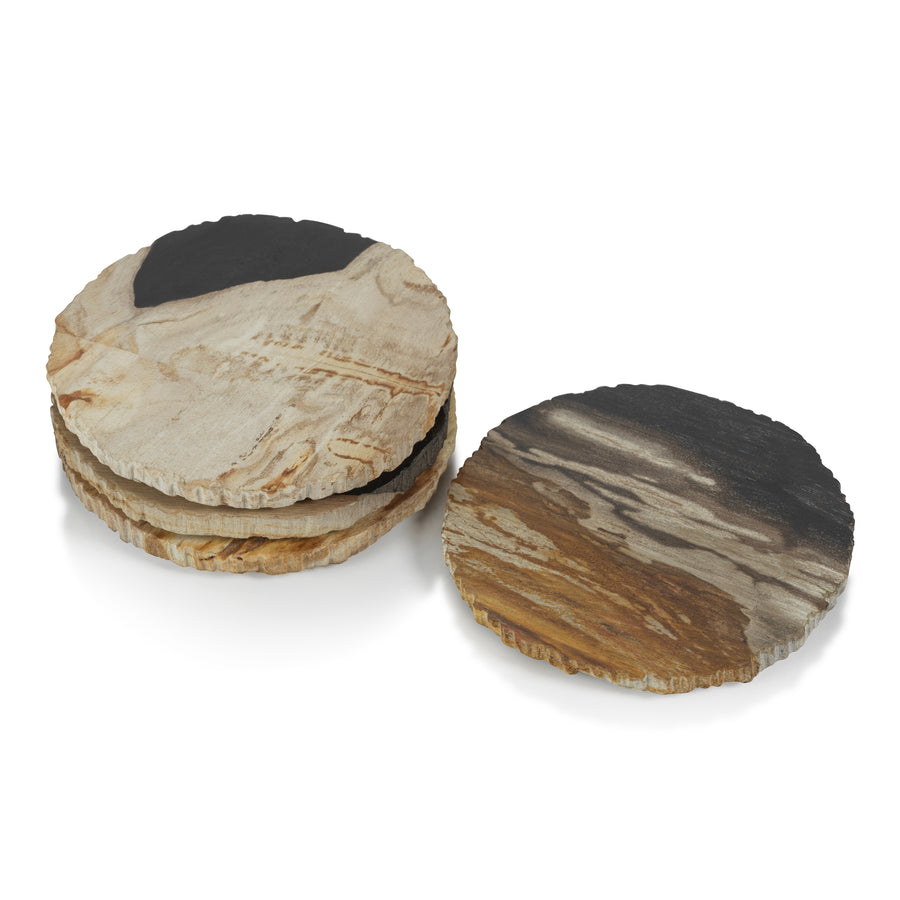 Petrified Wood Drink Coasters - Set of 4 - Image 2